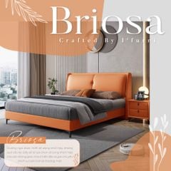 Giường Ngủ Briosa