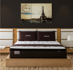 Nệm Lò Xo Cocoon 2.0 Luxe