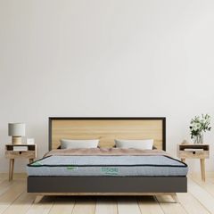 Nệm Cao Su Tổng Hợp Tatana