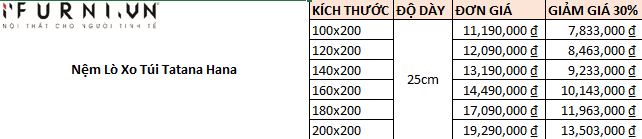 Nệm Lò Xo Túi Tatana Hana