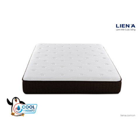 Nệm Lò Xo Cocoon