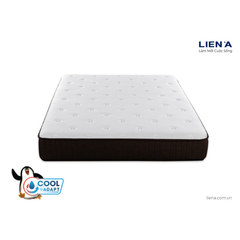 Nệm Lò Xo Cocoon