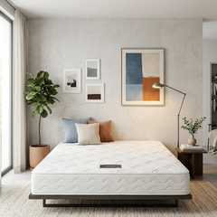 Nệm Lò Xo Túi Luxury