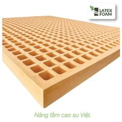 Nệm Cao Su Natural Latex
