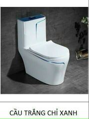 Bàn cầu trắng chỉ xanh