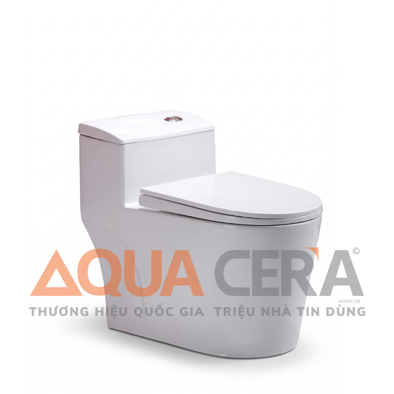 BỒN CẦU LIỀN KHỐI - 2032