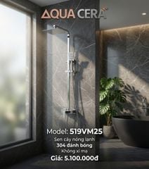 SEN CÂY NÓNG LẠNH INOX 304 ĐÁNH BÓNG 519VM25
