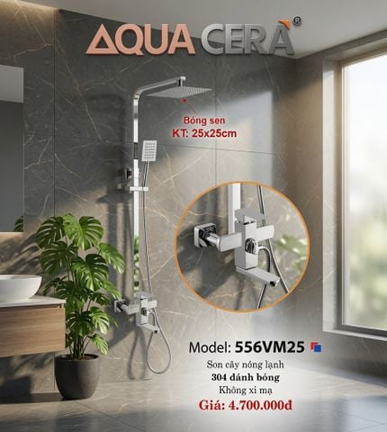 SEN CÂY NÓNG LẠNH INOX 304 ĐÁNH BÓNG 556VM25