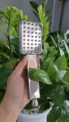 SEN CÂY NÓNG LẠNH INOX 304 ĐÁNH BÓNG 536VD30