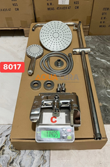 SEN CÂY NÓNG LẠNH ĐỒNG THAU MẠ CROM KT119