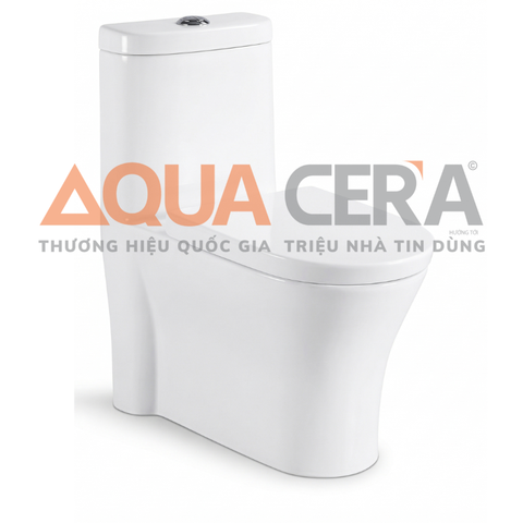 BỒN CẦU LIỀN KHỐI - 818