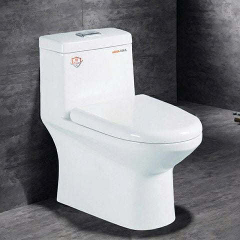 Bồn cầu 1 khối BC05