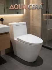 BỒN CẦU LIỀN KHỐI TRẮNG 909