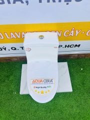 BỒN CẦU LIỀN KHỐI TRẮNG 909