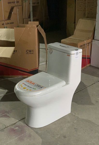 Bồn cầu 1 khối BC05