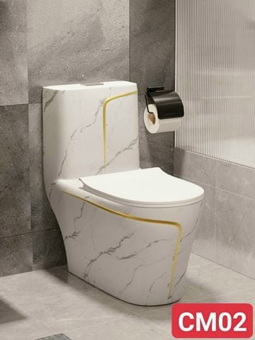 BỒN CẦU LIỀN KHỐI - CM02