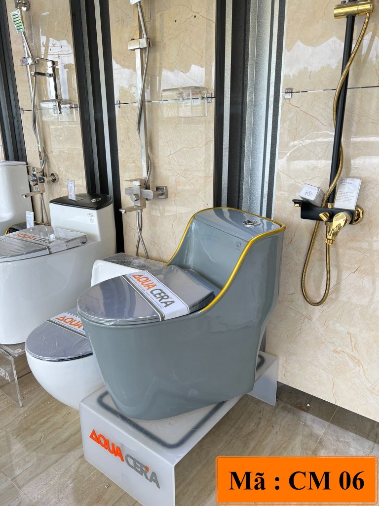 BỒN CẦU TRỨNG XÁM VIỀN VÀNG CM06