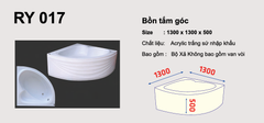 BỒN TẮM RY017