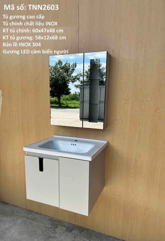 TỦ LAVABO KÍCH THƯỚC 60x50 –TUS2603-60