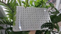 SEN CÂY NÓNG LẠNH CAO CẤP 517VD30