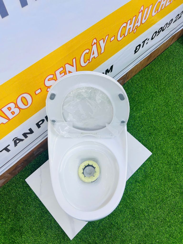 BỒN CẦU TRỨNG - 089