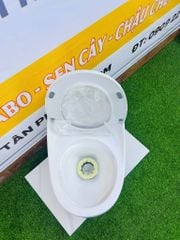BỒN CẦU TRỨNG - 089