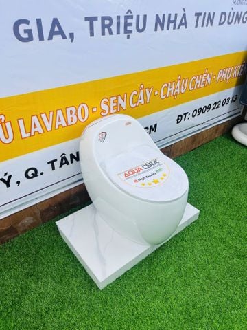 BỒN CẦU TRỨNG - 089