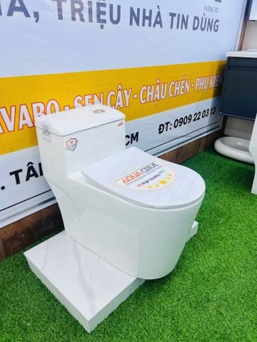 BỒN CẦU LIỀN KHỐI - 2032