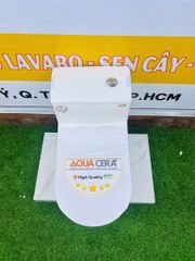 BỒN CẦU LIỀN KHỐI - 2032