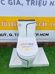 Bồn Cầu 1 Khối Trắng Viền Kẻ Đen AQUACERA 069TCD