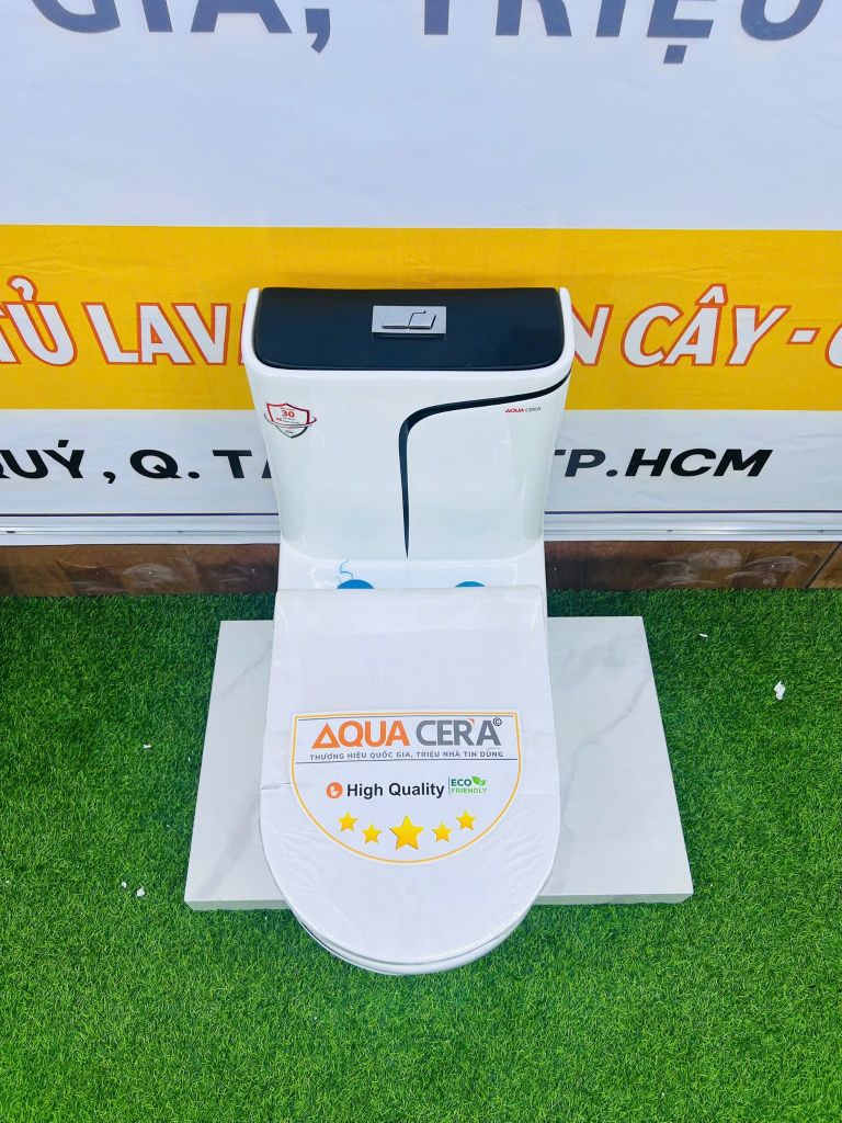 Bồn Cầu 1 Khối Trắng Viền Kẻ Đen AQUACERA 069TCD