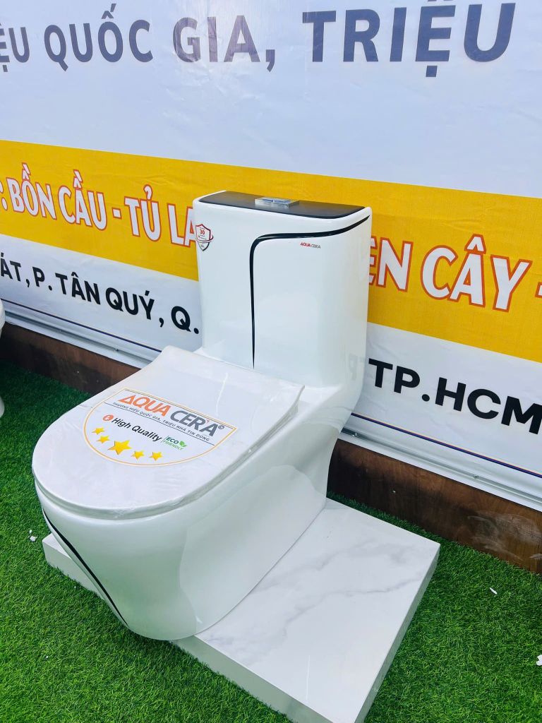 Bồn Cầu 1 Khối Trắng Viền Kẻ Đen AQUACERA 069TCD