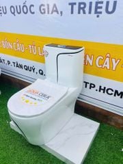 Bồn Cầu 1 Khối Trắng Viền Kẻ Đen AQUACERA 069TCD