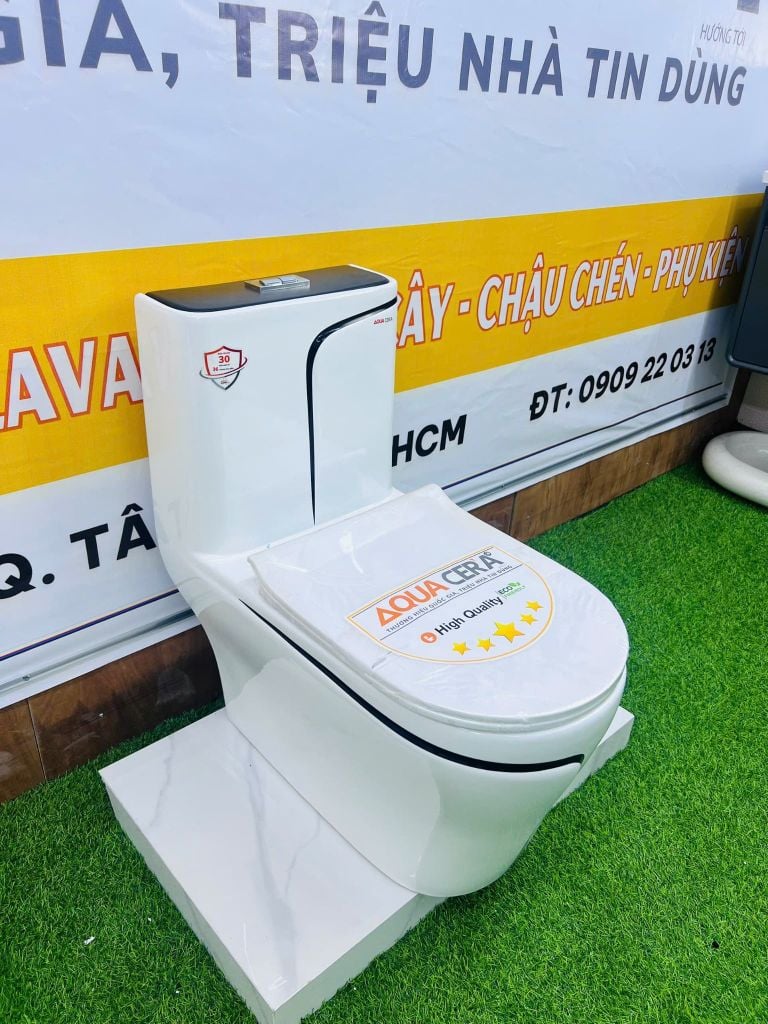 Bồn Cầu 1 Khối Trắng Viền Kẻ Đen AQUACERA 069TCD