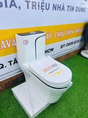 Bồn Cầu 1 Khối Trắng Viền Kẻ Đen AQUACERA 069TCD