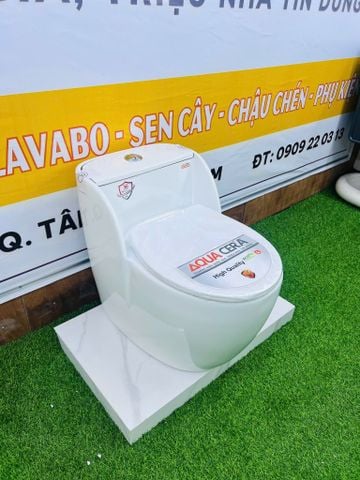 BỒN CẦU TRỨNG  - 2064