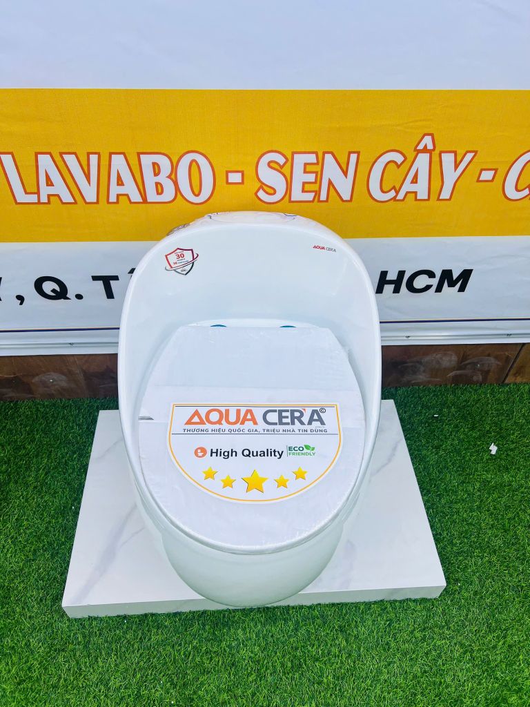 BỒN CẦU TRỨNG MÀU TRẮNG - T09