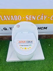BỒN CẦU TRỨNG MÀU TRẮNG - T09