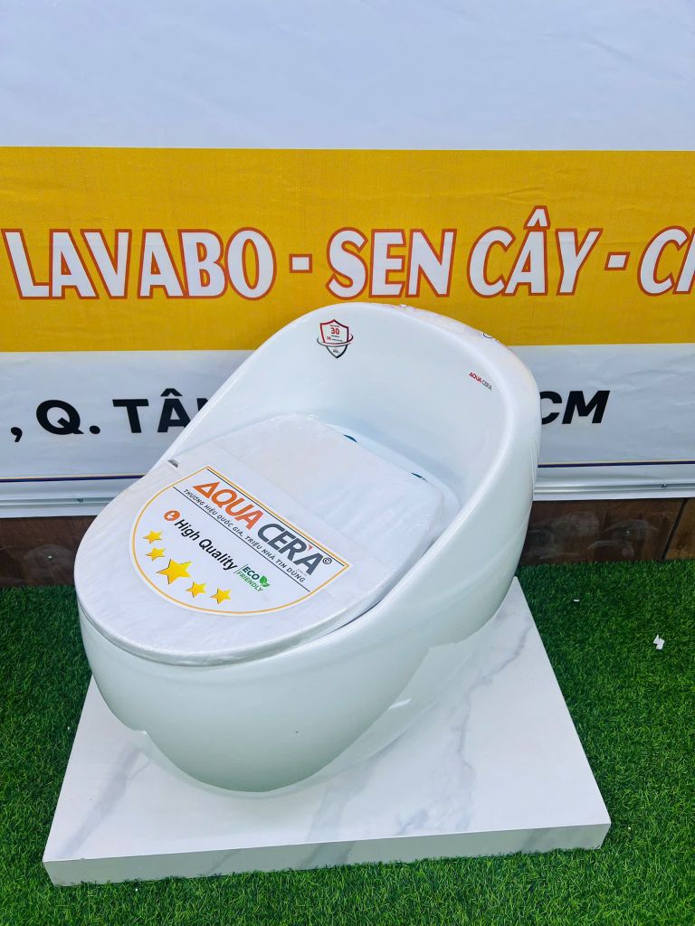 BỒN CẦU TRỨNG MÀU TRẮNG - T09