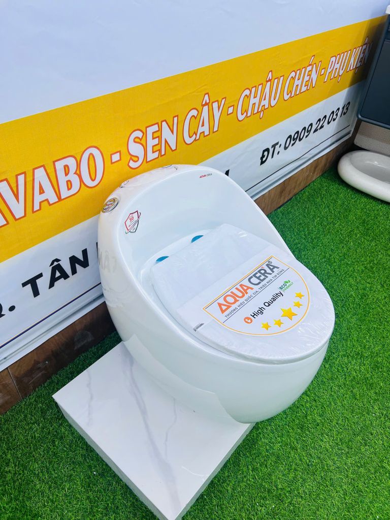 BỒN CẦU TRỨNG MÀU TRẮNG - T09