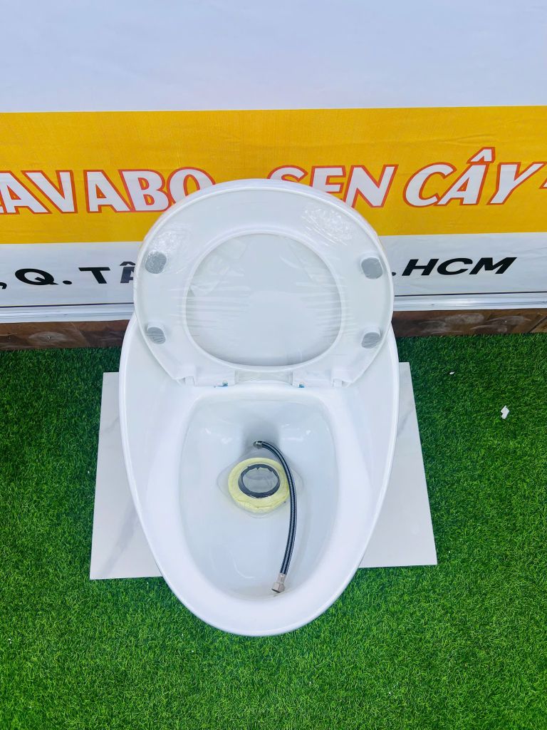 BỒN CẦU TRỨNG MÀU TRẮNG - T09