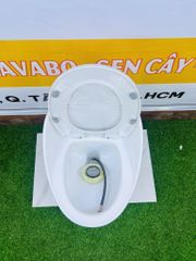 BỒN CẦU TRỨNG MÀU TRẮNG - T09