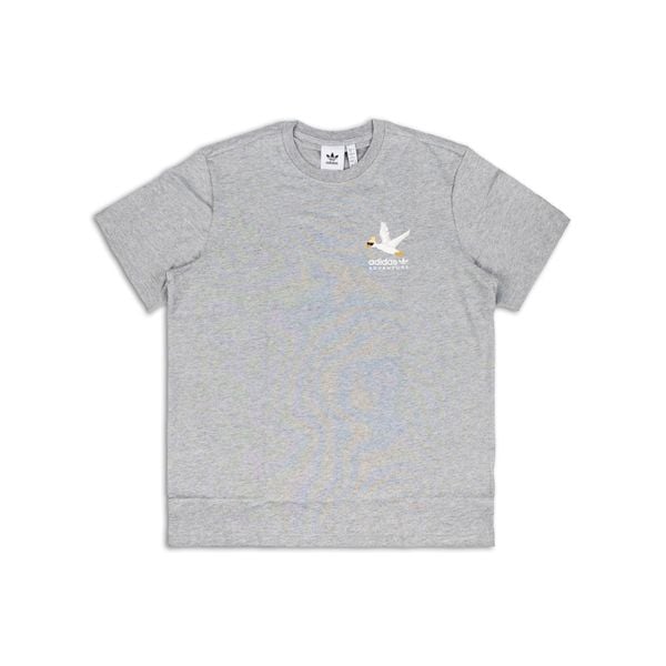  ÁO ADIDAS ADVENTURE GRAPHIC DUCKIES GREY HZ1147 
