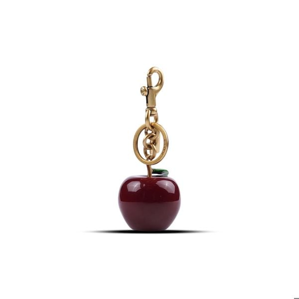  CHARM COACH APPLE BAG 