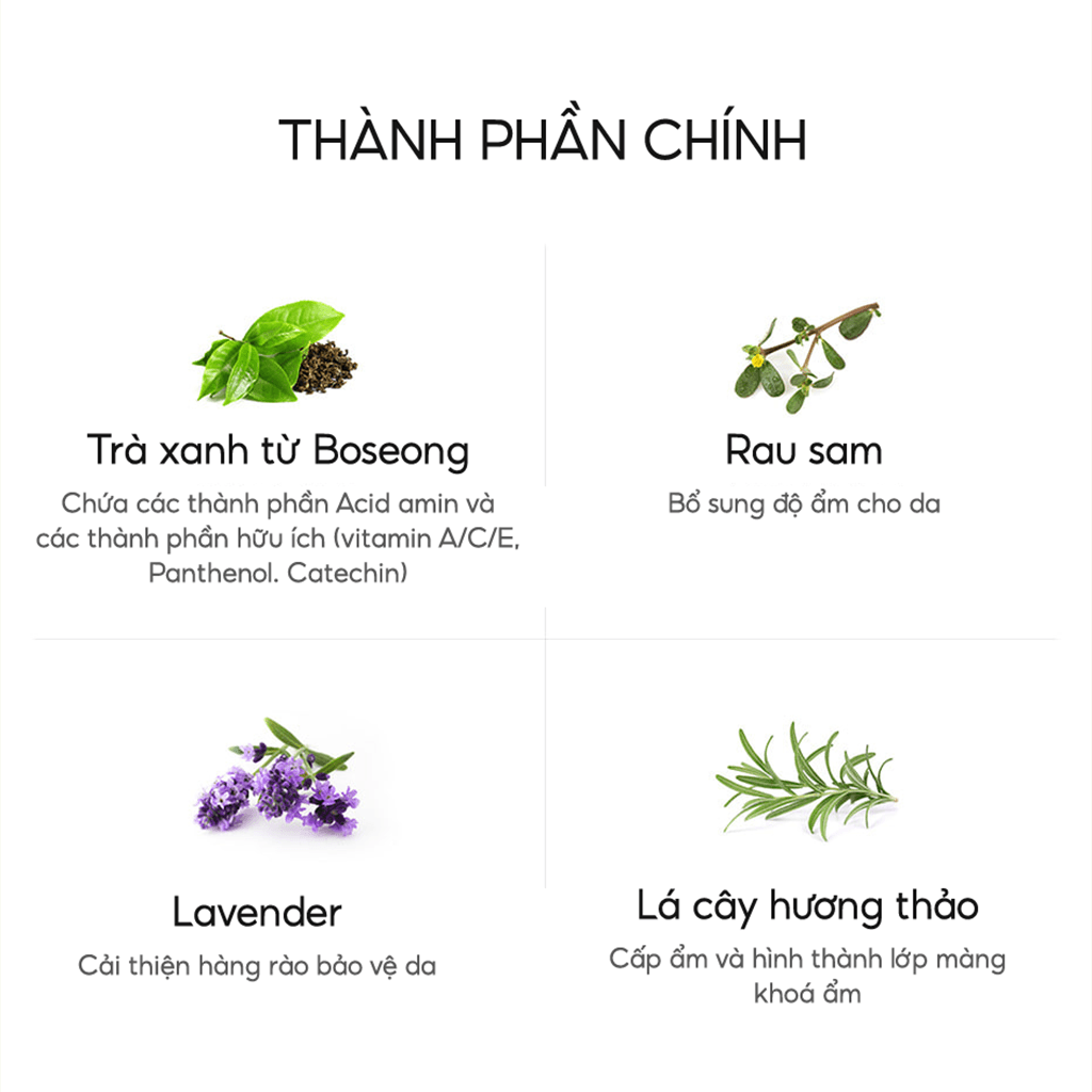 Nước tẩy trang dịu nhẹ THE SAEM Healing Tea Garden Cleansing Water