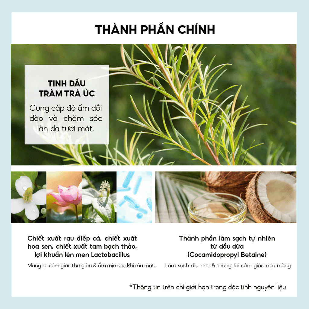 Sữa Rửa Mặt Tràm Trà THE SAEM Healing Tea Garden Tea Tree Cleansing Foam (150ml)