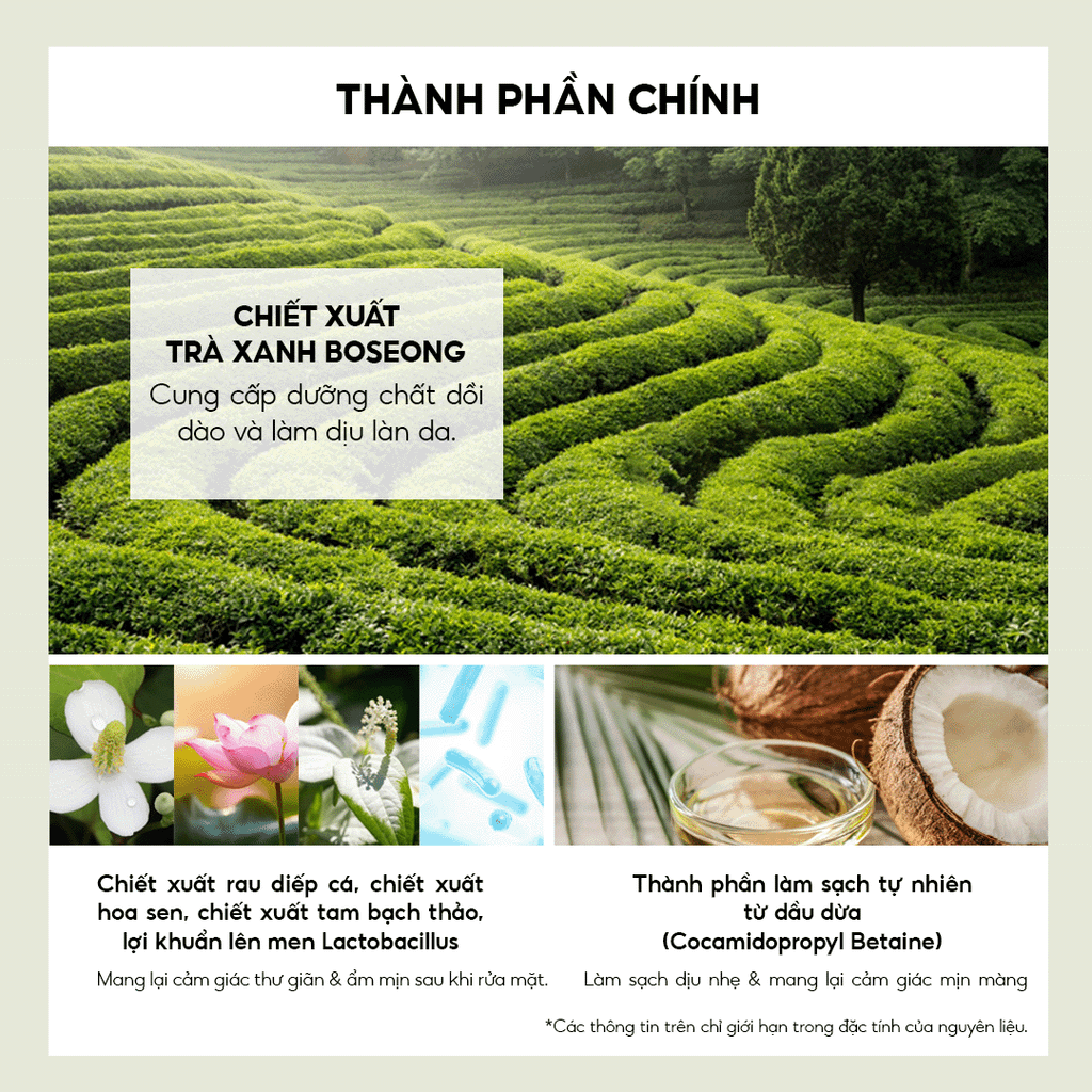 Sữa Rửa Mặt Trà Xanh THE SAEM Healing Tea Garden Green Tea Cleansing Foam (150ml)