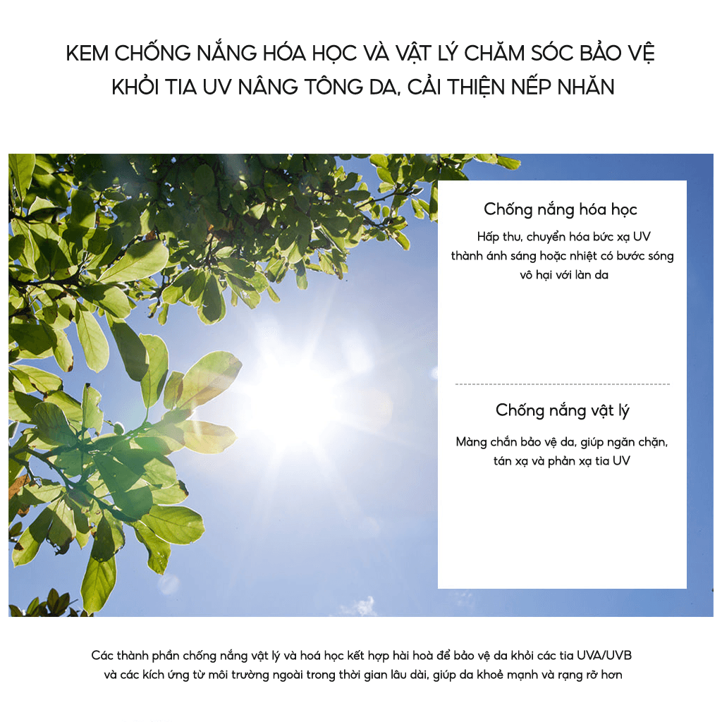 Kem Chống Nắng Vật Lý Lai Hóa Học THE SAEM Eco Earth Pink Sun Cream EX SPF50+ PA++++