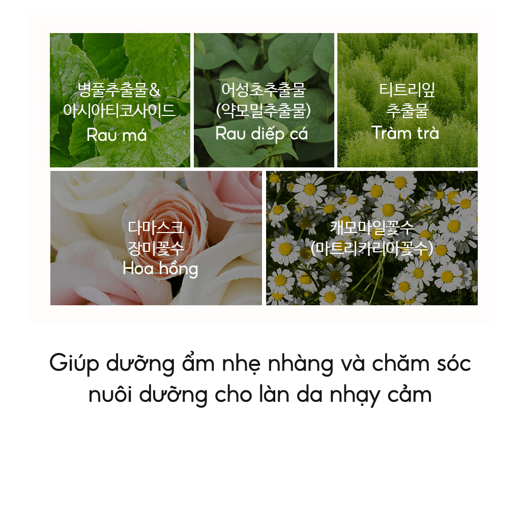 Kem Chống Nắng Vật Lý Lai Hóa Học THE SAEM Eco Earth Pink Sun Cream EX SPF50+ PA++++