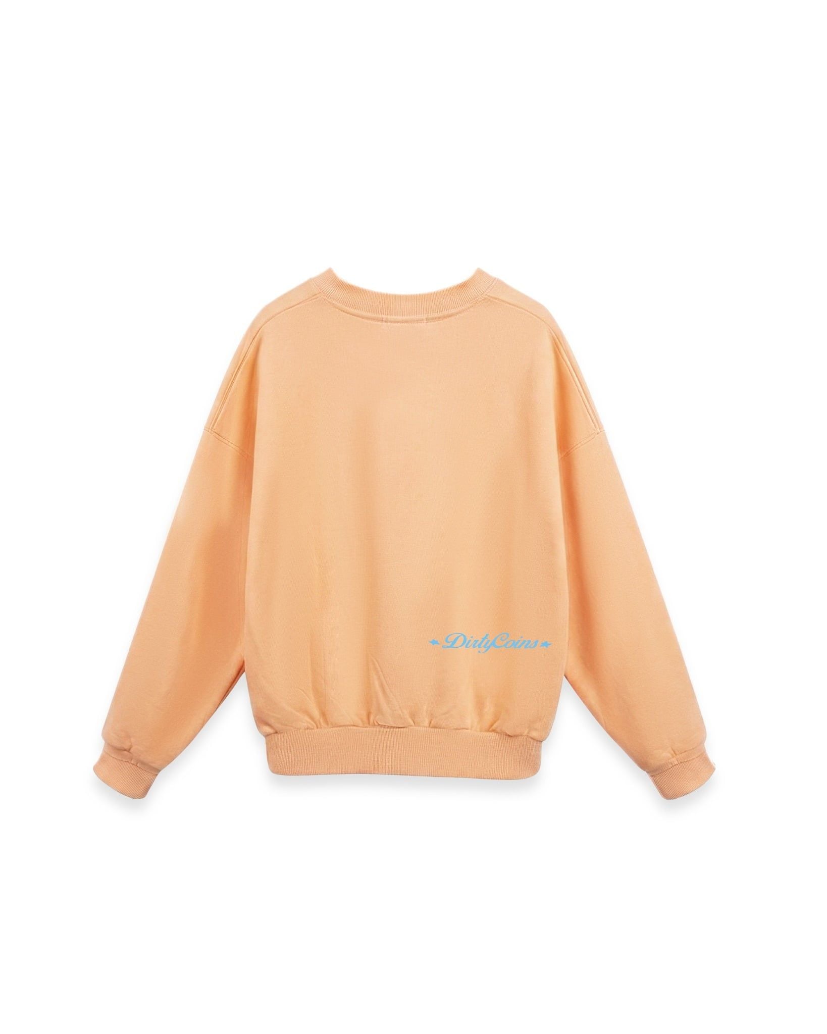  Áo Sweatshirt DCxRS Big Logo Printed 